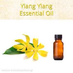 YLang YLang essential oil
