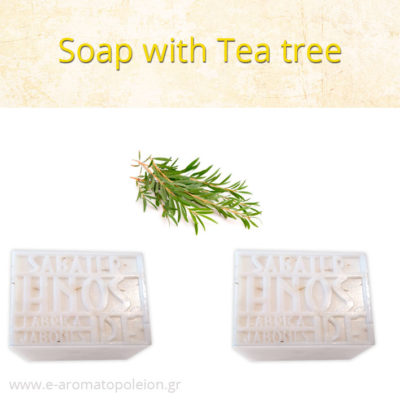 Tea tree soap
